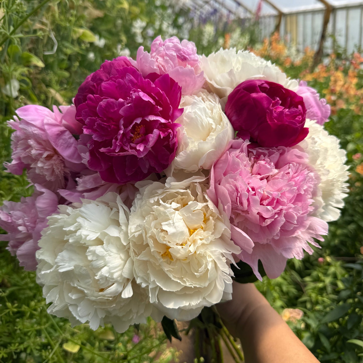 Mixed Peony Bouquet