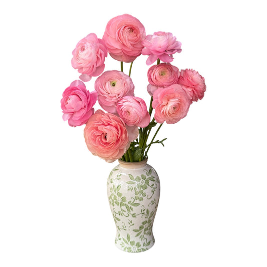 Pastello Pink Ranunculus