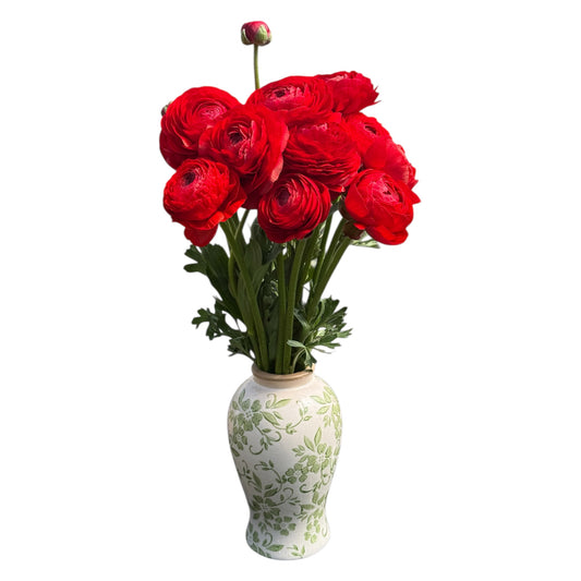 Red Ranunculus
