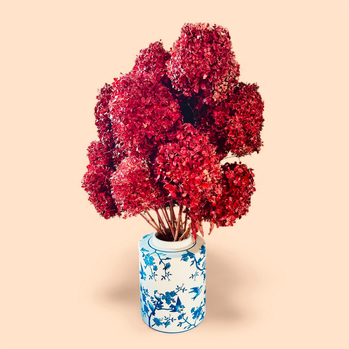 Victorian Dried Hydrangea