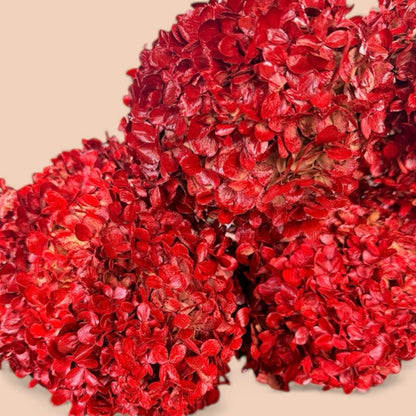 Victorian Dried Hydrangea