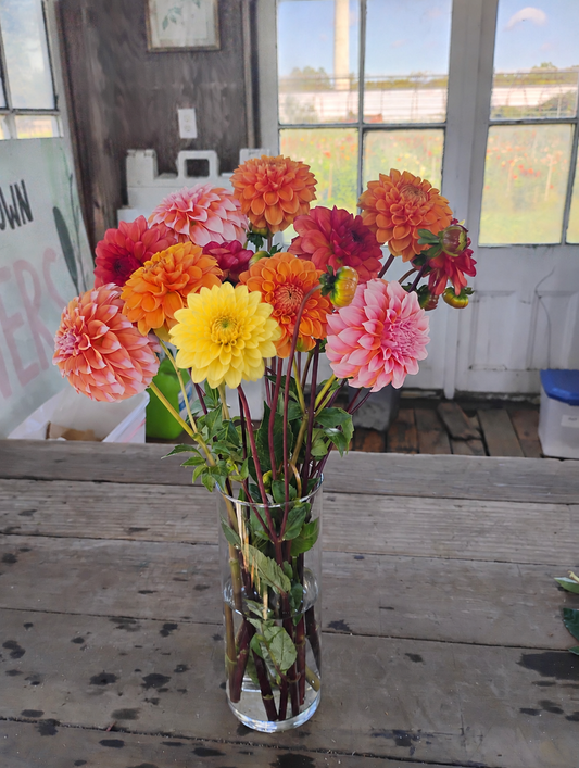 Mixed Dahlia Bouquet