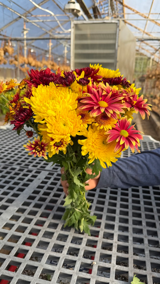 Autumn Harvest Bouquet